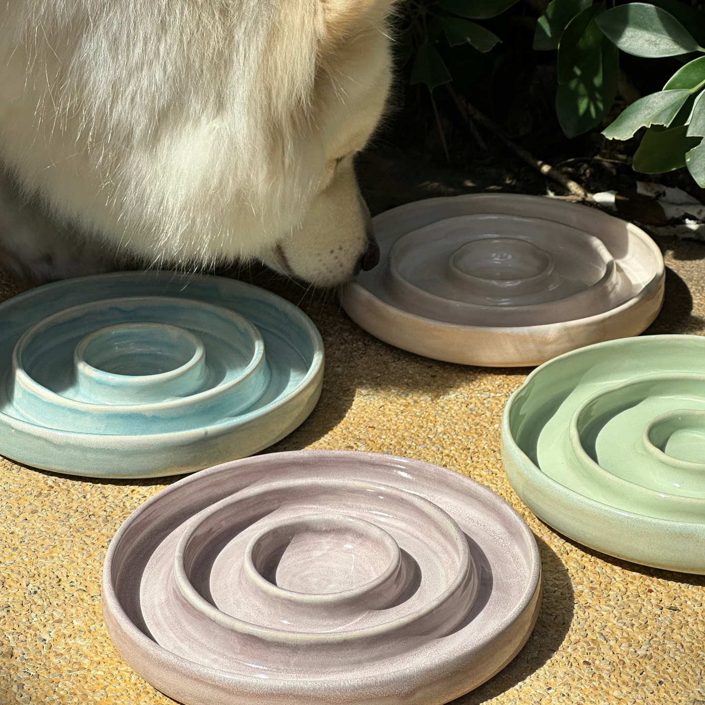 The OG Slow Feeder (pre-order only)