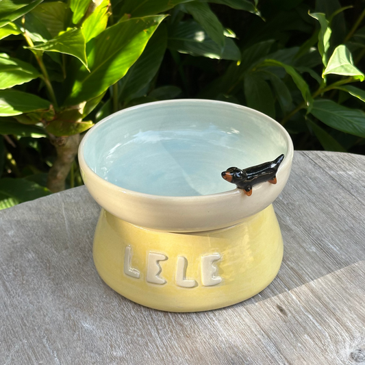 2-in-1 Bowl with Stand (pre-order only)