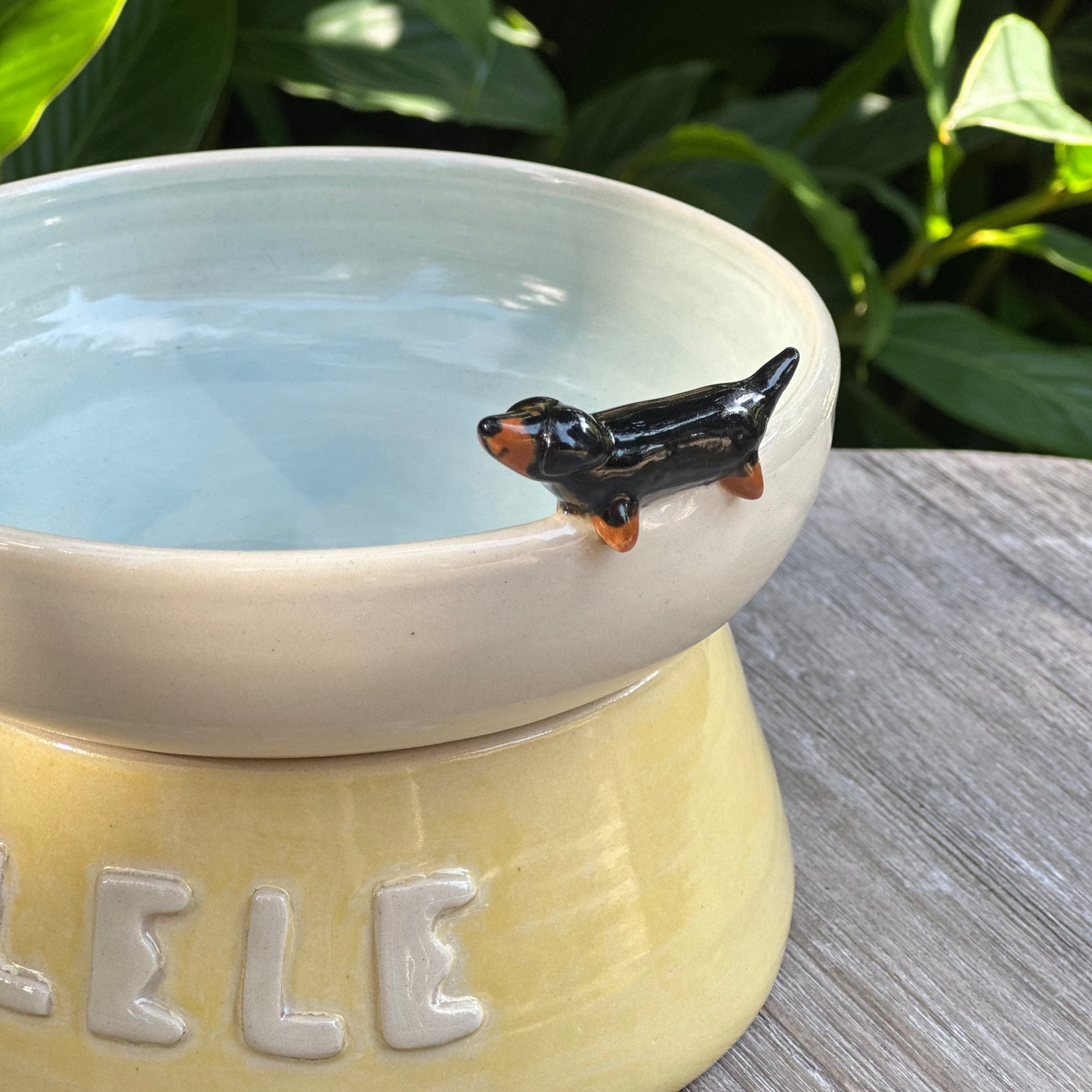 2-in-1 Bowl with Stand (pre-order only)