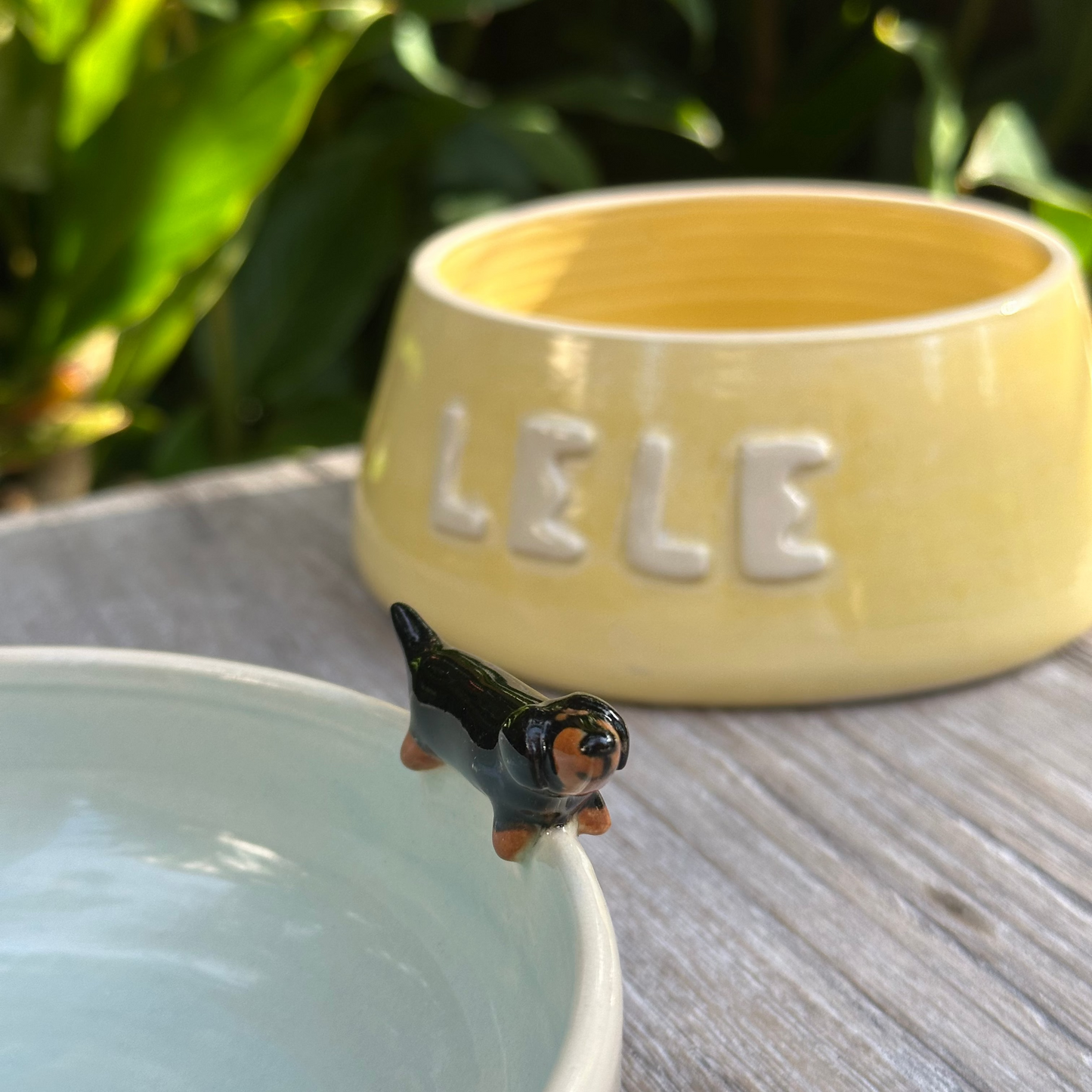 2-in-1 Bowl with Stand (pre-order only)