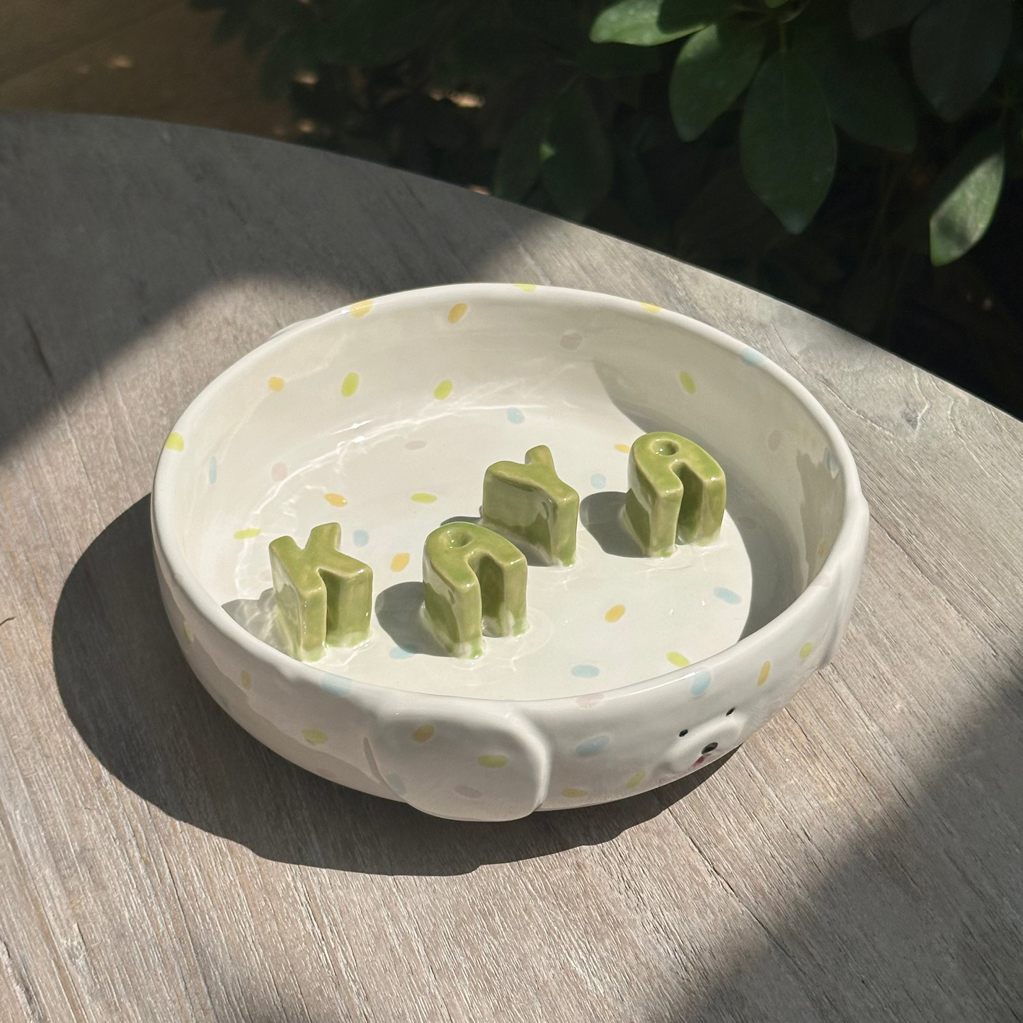 Slow Feeder for Dogs (pre-order only)