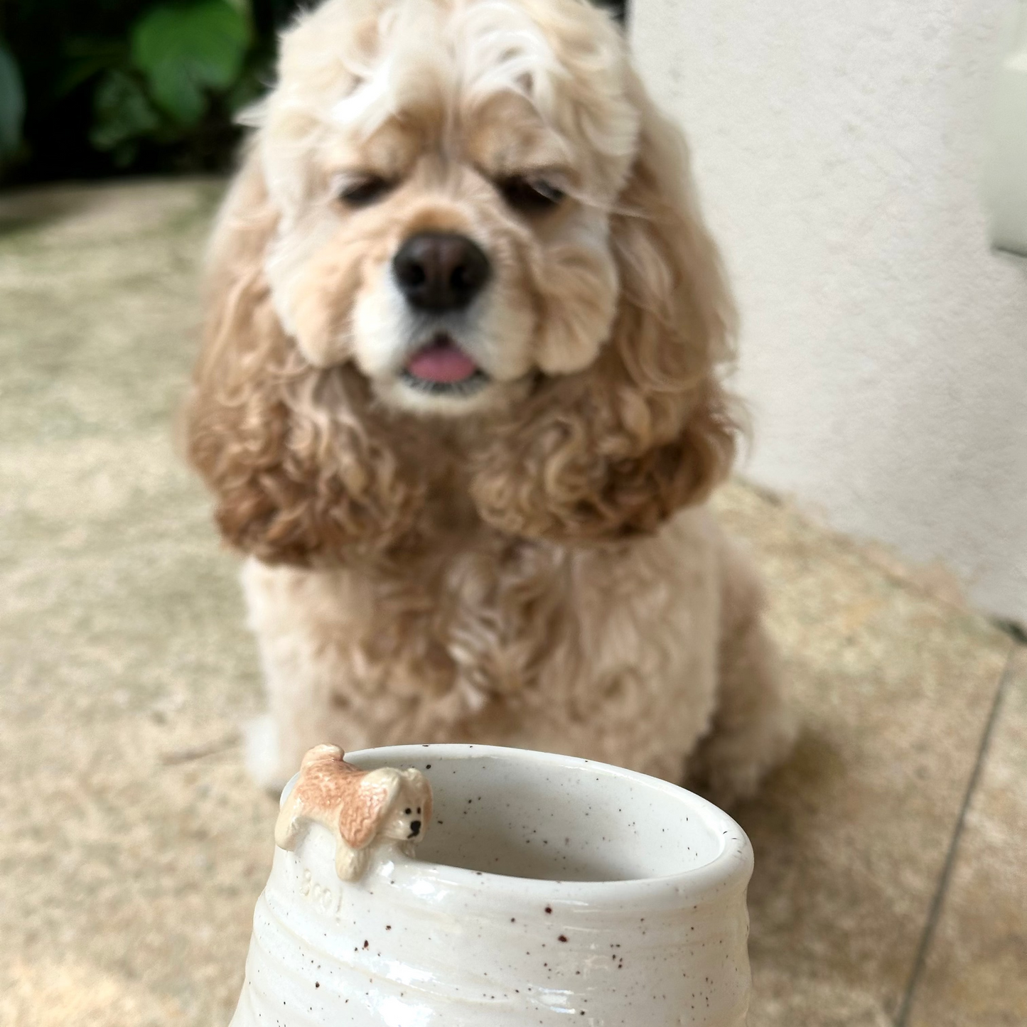 Custom Pet Cup (pre-order only)