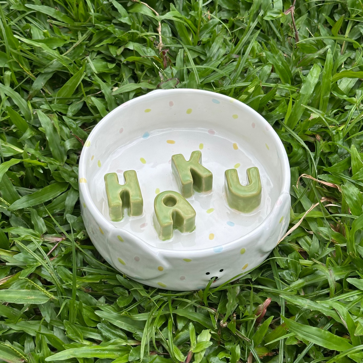 Slow Feeder for Dogs (pre-order only)
