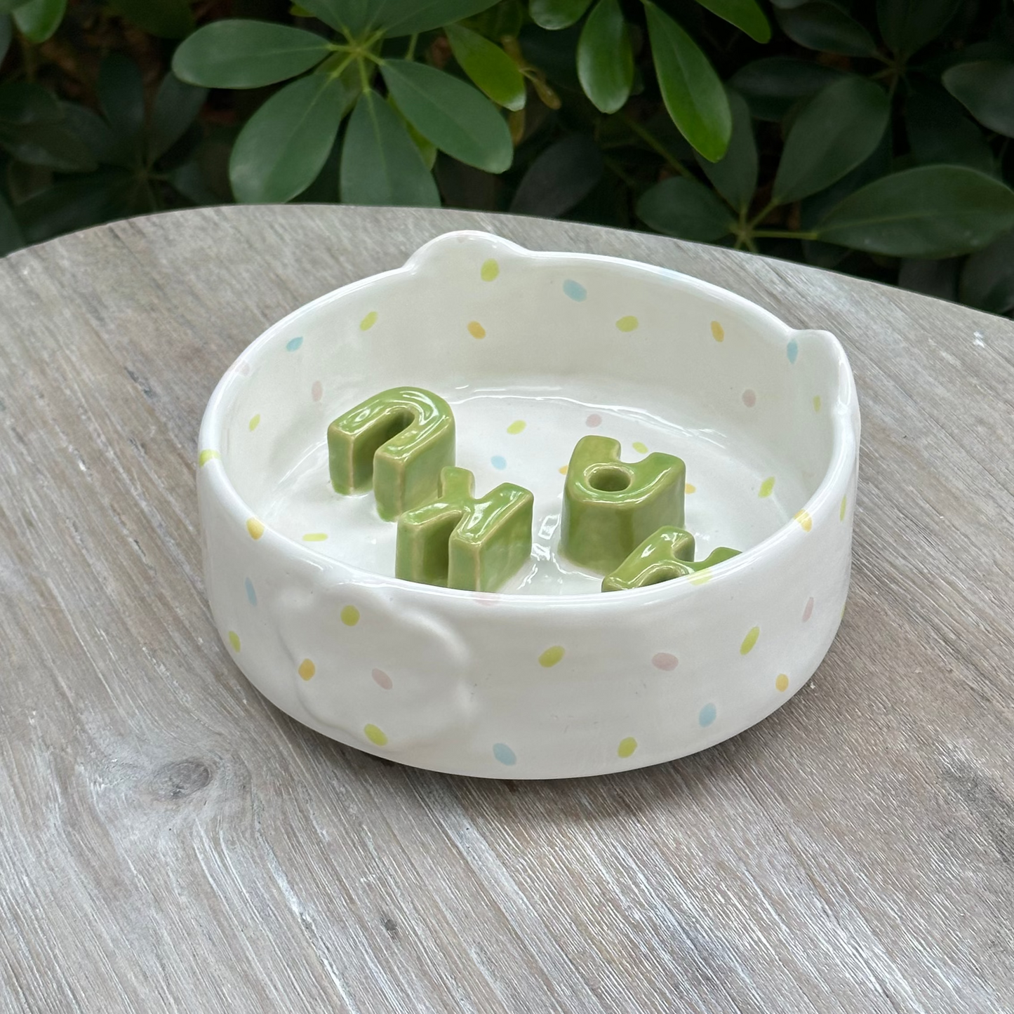 Slow Feeder for Dogs (pre-order only)