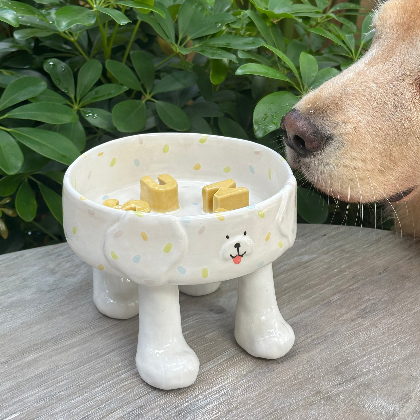 Dog Bowl with Legs (pre-order only)