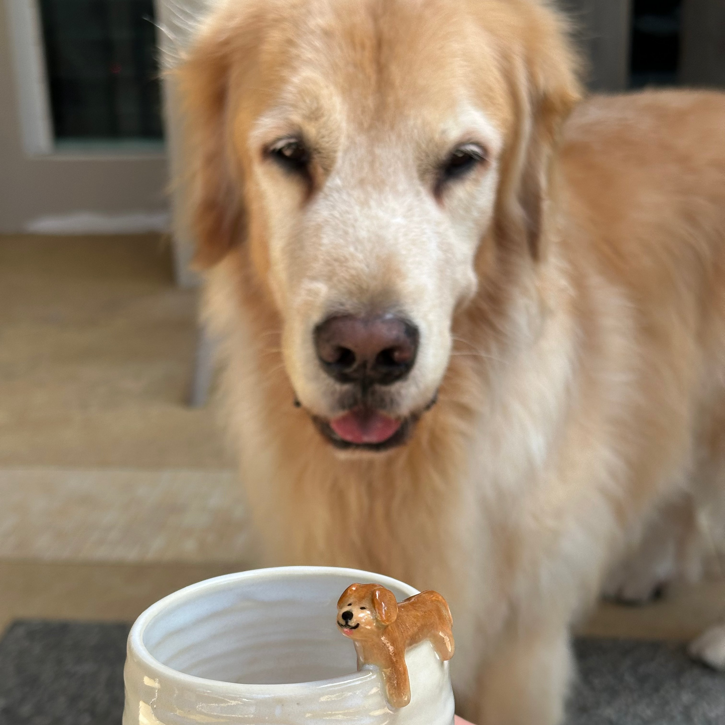 Custom Pet Cup (pre-order only)